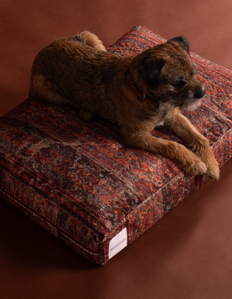 Italian kilim pattern tapestry upholstery fabric detail, Persian dog bed by Pawloor