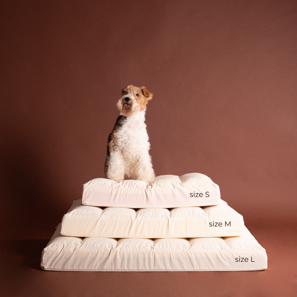 Dog bed size guide — S, M, L comparison.